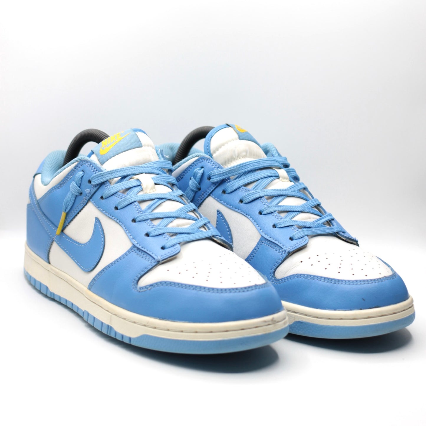 Nike Dunk Low Coast