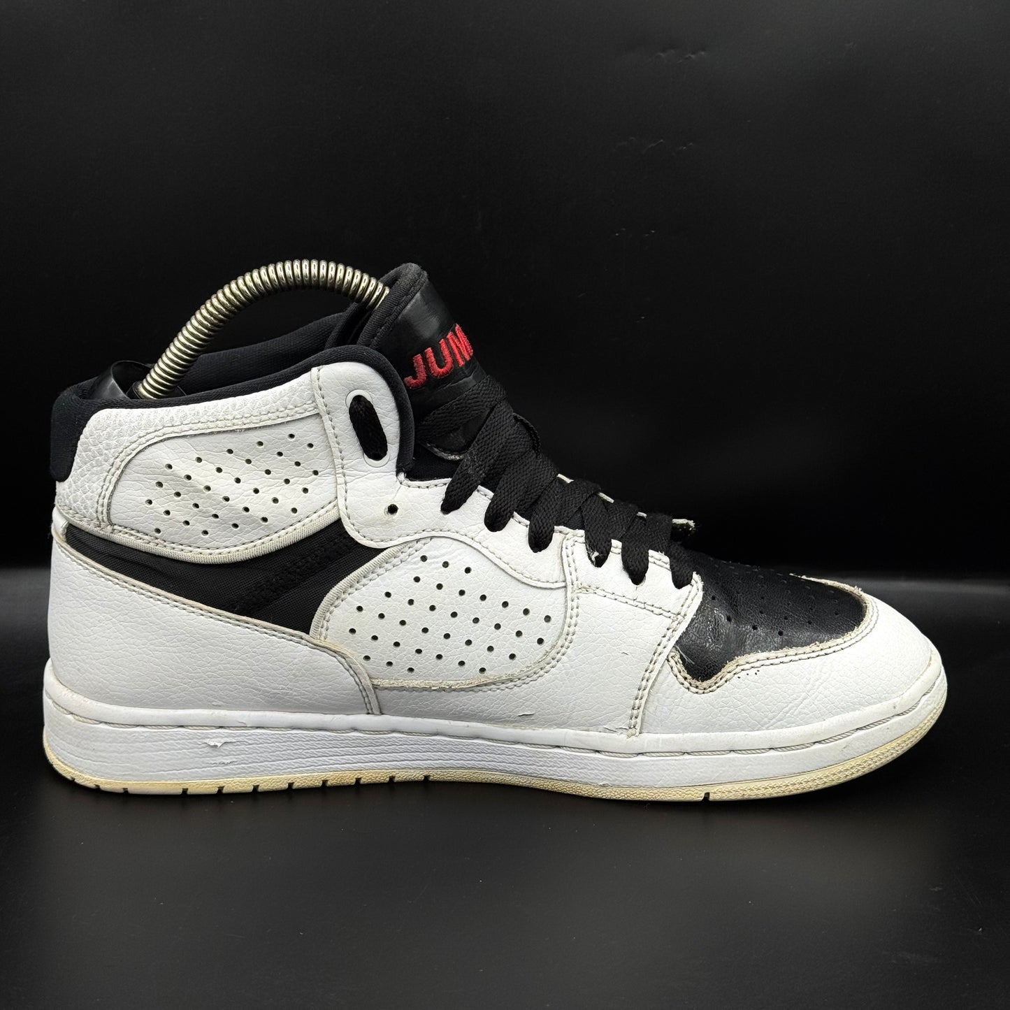 Nike Air Jordan Access