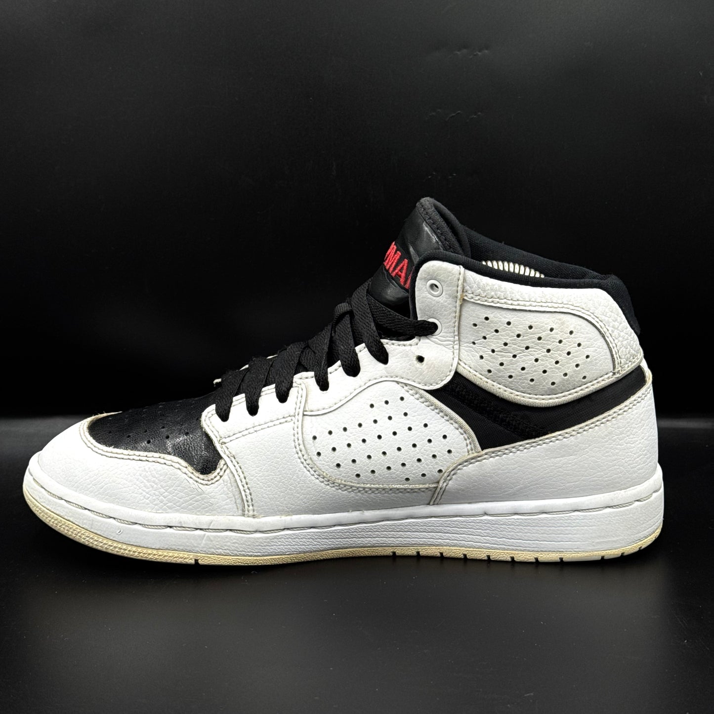 Nike Air Jordan Access