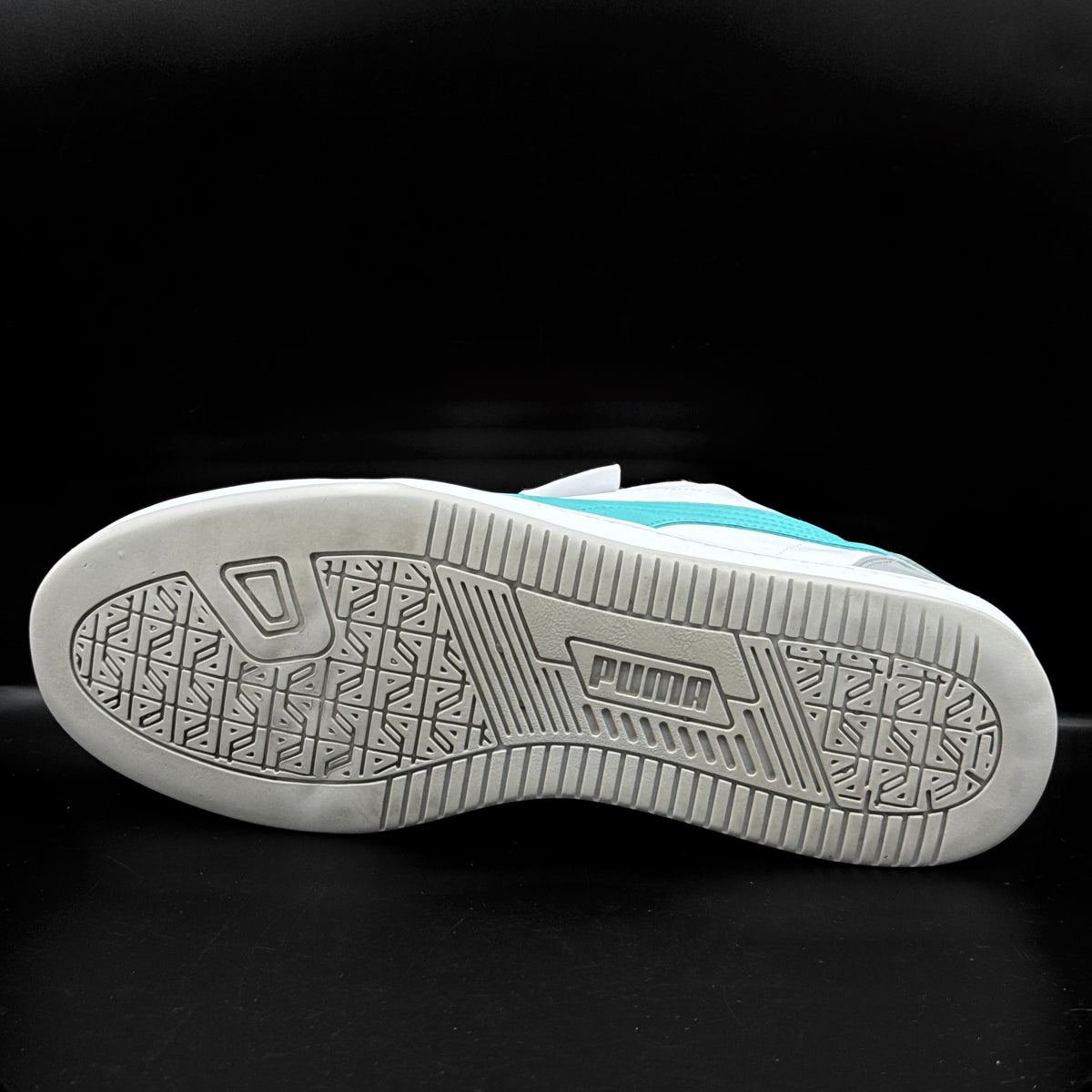 Puma Mercedez-AMG Petronas Caven 2.0