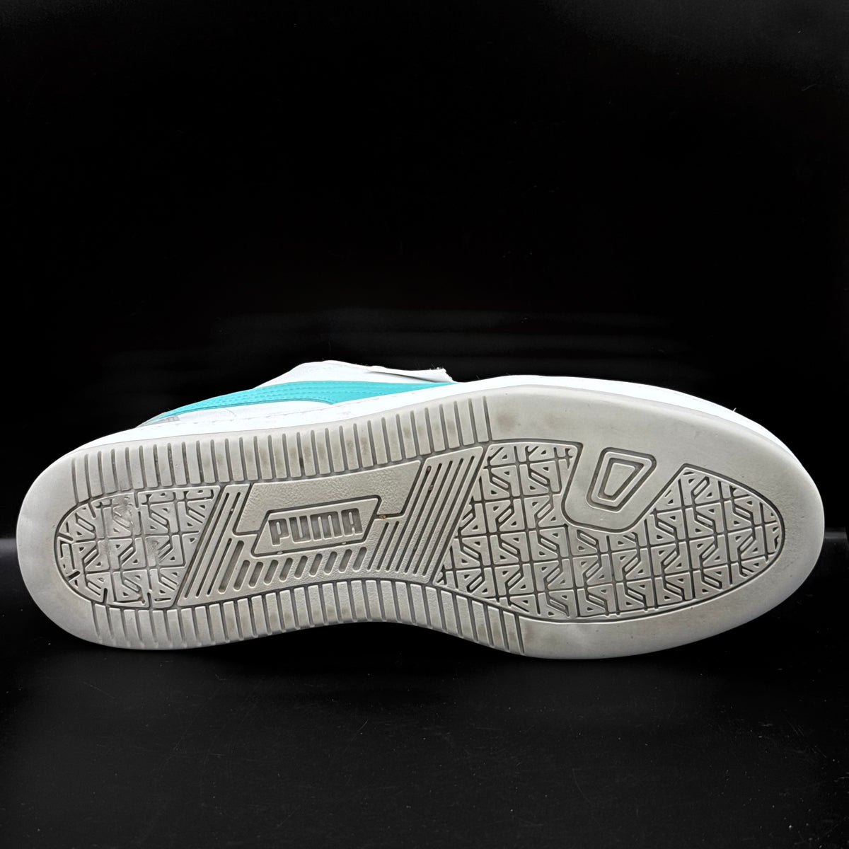 Puma Mercedez-AMG Petronas Caven 2.0