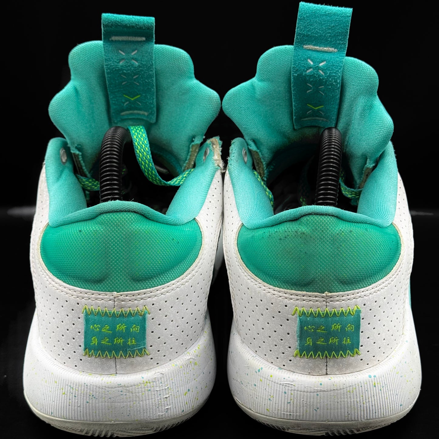 Nike Air Jordan XXXV Low Jade